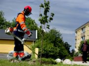 Dowlada oo soo bandhigtay Tirada Dhalinyarada Heli karta Shaqada Xagaaga ( sommerjobb ) iyo lacagta ku Baxeyso..