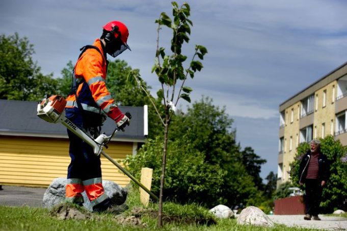 Dowlada oo soo bandhigtay Tirada Dhalinyarada Heli karta Shaqada Xagaaga ( sommerjobb ) iyo lacagta ku Baxeyso..