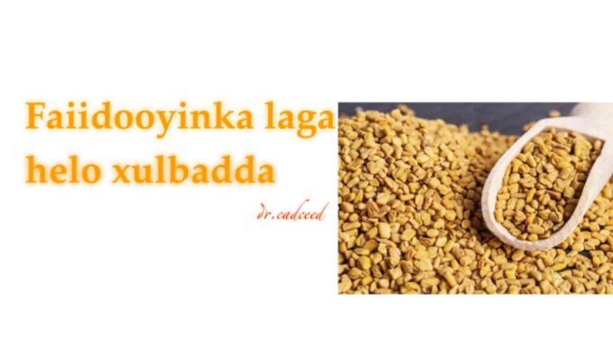 Akhriso Faa.idada ku jirta Isticmaalka Xulbada..