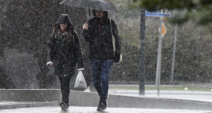 Digniin laga soo saaray Roobab Xoogan oo ka da’aya Qeybo kamid ah Sweden