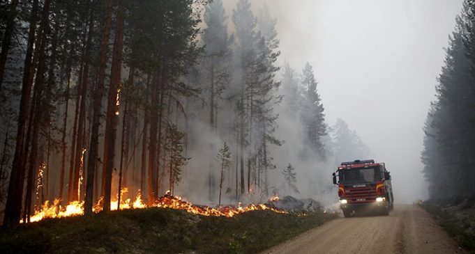 Sweden in ka badan 50 Meel ee keynta ah oo Gubaneysa Wali..