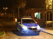 Wiil Somali ah oo labo Qof ku dilay Dalka Germalka