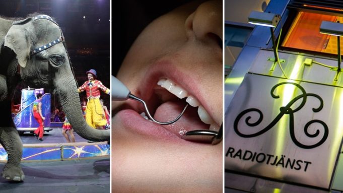 Akhriso Sharciyada Cusub ee ka bilaabanaya Sweden Bilowga Sanadkan Cusub.