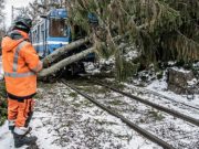 Guryo badan oo wali koronta la.an ah kadib Danbeylihii dhacay Talaadadii.