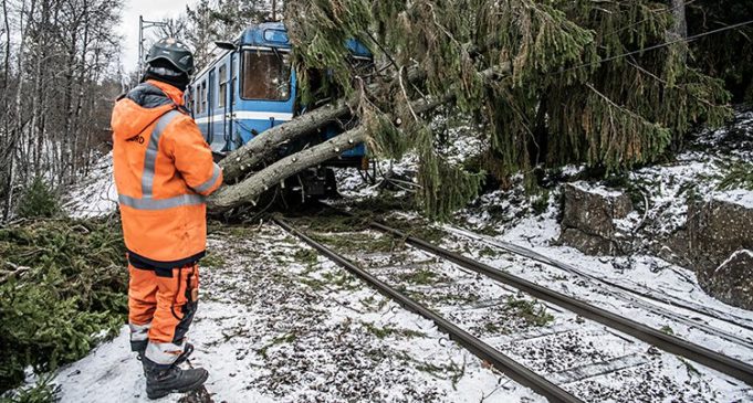 Guryo badan oo wali koronta la.an ah kadib Danbeylihii dhacay Talaadadii.