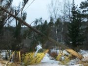 Dabeylo xoogan oo xalay laga dareemay qeybo kamid ah Gobolada Dalka Sweden.