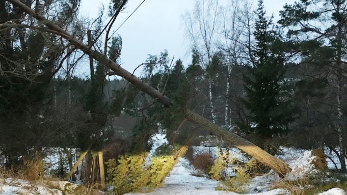 Dabeylo xoogan oo xalay laga dareemay qeybo kamid ah Gobolada Dalka Sweden.