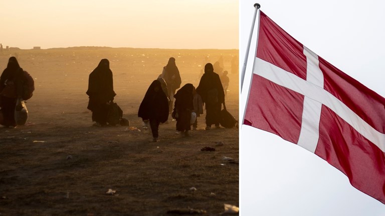 denmark qaxoti