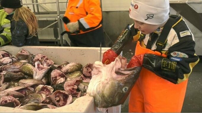 Waa gabar yar oo saacadii ku shaqeysa 1.200 kr Magaalada Lofoten.