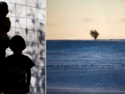 Hay’ada Sooshiyaalka Sweden oo Afar Caruur ah kala wareegtay Waalidkooda