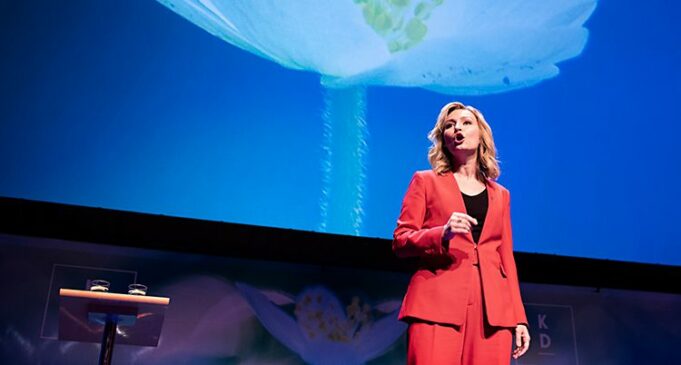 Hindise Cusub:- Dowlada halagu Wareejiyo Lacagta Ceerta ee Degmooyinka laga helo