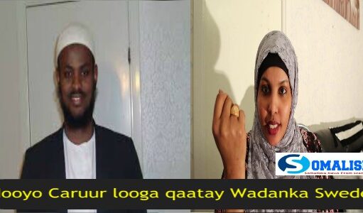 Daawo Barnaamijka Tixraaca Somaliska iyo Qodobo muhiim ah oo aan ku soo qaadanay
