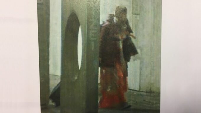 Norway:- Hay’ada UDI oo Musaafurin iyo Sharci kala Noqosho iskugu dartay Hooyo Somaliyeed