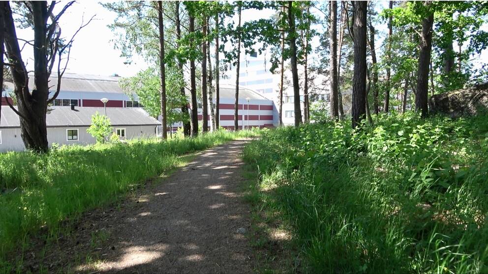 Labo wiil oo walaalo ah oo lagu Xukumay Musaafurin iyo Xabsi daa’in gudaha Sweden