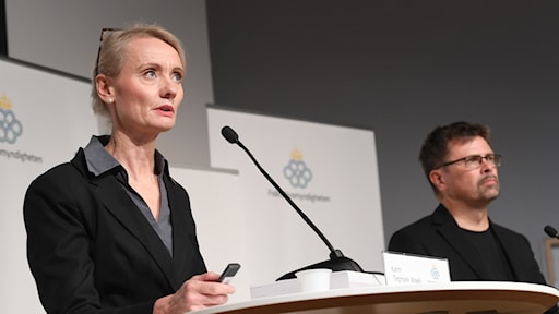 Karin Tegmark Wisell