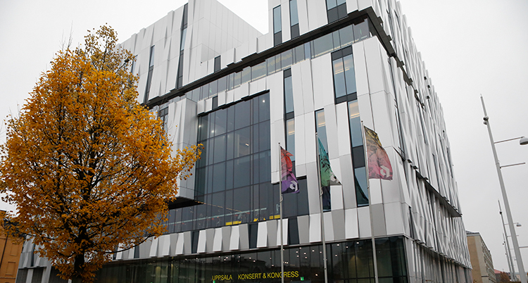 Uppsala Booliska oo ka hadlay Nin ku kor dhacay Nin kale oo Labadooda isla dhinteen