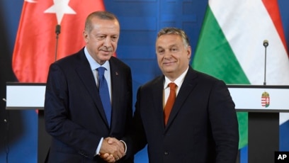 01000000-0aff-0242-54d2-08dc021ac129_cx0_cy9_cw0_w408_r1_s