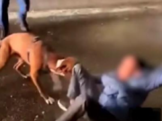 Dhaawaca Luqmaan Ahmed oo Ey ku Weeraray Götenborg oo Wali lala Tacaalayo