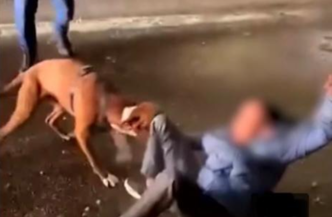 Dhaawaca Luqmaan Ahmed oo Ey ku Weeraray Götenborg oo Wali lala Tacaalayo